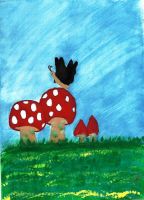 Red mushrooms and black butterfly